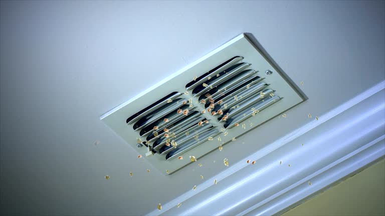 Best Local Air Duct Cleaning Services  in Thousand Palms, CA