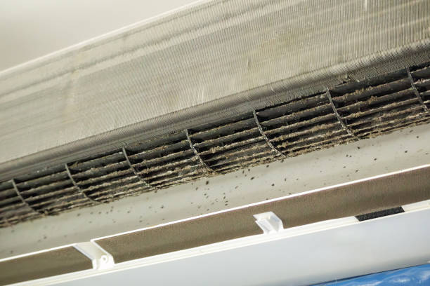 Best Commercial Air Duct Cleaning  in Thousand Palms, CA